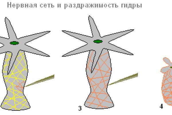 Ссылка кракен через тор