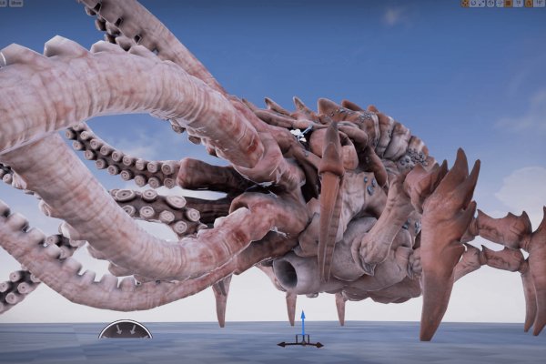 Kraken17 at